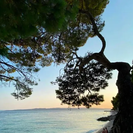 ゲストハウス Schoenes Mit Pool