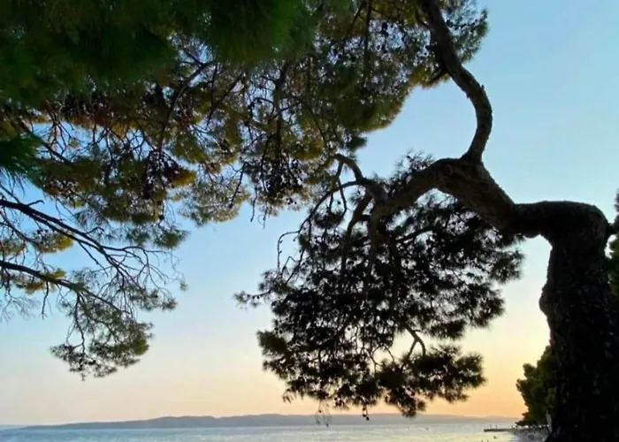 Πανσιόν Schoenes Mit Pool